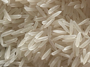 Auténtico Arroz Jazmín Vietnamita ST25 de Grano Largo Seco y Aromático, Sin OMG, Alta Calidad, 5% de Grano Partido, Textura Firme, Mejor Precio Global - Product Image 5