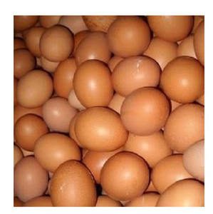 ไข่ไก่สีน้ำตาลธรรมชาติ สั่งซื้อจำนวนมาก ผลิตภัณฑ์สัตว์ปีกสดใหม่จากฟาร์มที่ถูกสุขอนามัย - Product Image 5