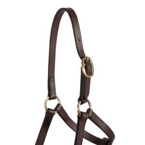 Dernier modèle de collier en cuir pour cheval anglais avec chaîne de fixation robuste - Product Image 2