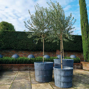 Top Selling High Quality Durable Galvanized Antique Zinc Finishing Outdoor <b>Large</b> Planter <b>Box</b> - Product Image 4