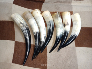 Shofar de cuerno de buey Natural superior, artesanía de cuero hecha a mano para bodas, fiestas, polvo vikingo pulido, cuerno para beber, Animal - Product Image 4