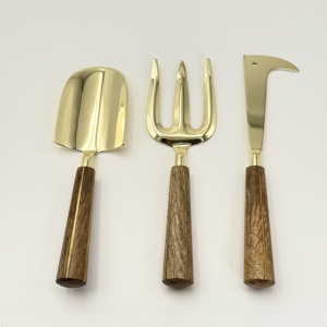 Nouveauté : Ensemble d'outils de jardinage en acier inoxydable, 3 pièces, finition dorée avec manche en bois, pour jardinage intérieur et extérieur - Product Image 1