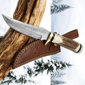 Couteaux de chasse haut de gamme pour l'extérieur avec lame de style Damas, manche en bois, rivets en laiton et étui en cuir pour le camping - Product Image 4