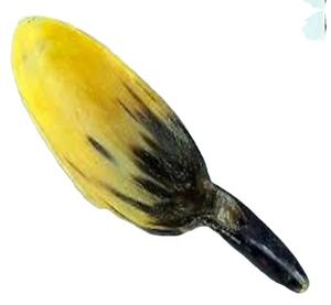 Cuerno de buey y búfalos de la mejor calidad, diseño único, cuchara para servir arroz, cubiertos para restaurante, vajilla - Product Image 1