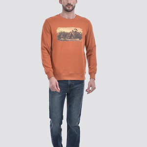 Sudadera de moda nueva para hombre, talla grande, color personalizable, nuevo estilo, sudadera para hombre, venta en línea - Product Image 4