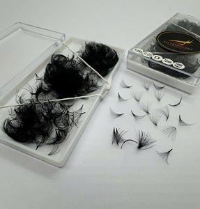 Extensiones de Pestañas Coreanas PBT Negro Mate 500 1000, Fans de Pestañas Pre-Enlazadas, Cajas para Pestañas con Logotipo Personalizado - Product Image 1