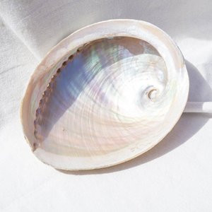 <b>Abalone</b> <b>shell</b> ocean seashell cheapest cost sea <b>shells</b> for making jewelry nautical decoration - Product Image 5