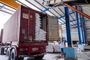 Riz Jasmin 100% brisé Prix bas Haute qualité Vente vers l'Afrique, le Moyen-Orient, les marchés des îles Jacob - Product Image 3