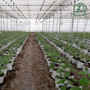 Casa de Malla Sombreadora Agrícola con Cubierta de Poliéster Estabilizado UV para Cultivo de Hortalizas, Frutas y Plantas de Vivero - Product Image 2