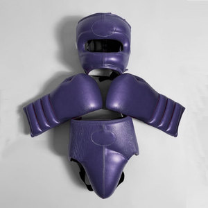Equipo de Boxeo Personalizado de Fábrica: Guantes, Protector de Cabeza, Protector Inguinal, Equipo OEM, Guantes de MMA, Muay Thai, Protector de Tibia - Product Image 4