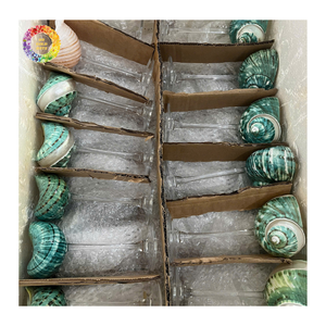 Lot de tasses décoratives en coquillages naturels, tasses artisanales en coquillages marins, vaisselle de fête - Product Image 6