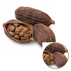 Hot Sale Special Offer Tasty International Standard Vietnam Manufacturer Supply Black Cardamom Bulk Supply - Product Image 4