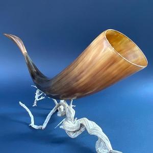 El Mejor Cuerno Decorativo de Búfalo Natural para Decoración de Mesa y Pared, Hecho a Mano en India - Product Image 1