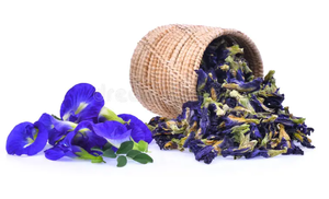 Fleur de pois papillon bleue séchée en sachet, tisane biologique en vrac, thé minceur santé 100% naturel, origine Vietnam - Product Image 3