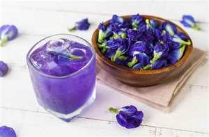 Top vente multi-usages tisane bleu papillon fleur de pois aigre tranché, poudre couleur naturelle-bleu lotus du Vietnam - Product Image 3