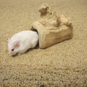 ตู้เลี้ยงสัตว์น้ำและสัตว์ครึ่งบกครึ่งน้ำ แบบเป็นมิตรกับสิ่งแวดล้อม สำหรับตกแต่งและเป็นที่หลบซ่อน - Product Image 1