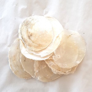 Conchas de capiz naturales, discos planos redondos sin agujeros, precio bajo, suministros para artesanía y joyería de conchas marinas - Product Image 4