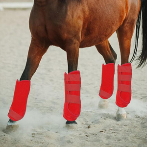 Bottes anti-mouches pour chevaux en nylon respirant, protection complète des jambes, faible MOQ, nouveau design 2026, service OEM, couleurs et logo personnalisables, confortables - Product Image 4