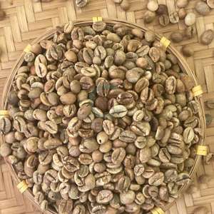 Wholesale Robusta Coffee Bean Natural Process Screen 18 Low Moisture <b>Raw</b> <b>Material</b> for Roasting New Crop Dak Lak Viet Nam - Product Image 4