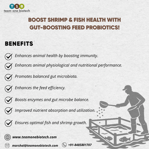 Fórmula probiótica de pescado para fortalecer la inmunidad - Product Image 2