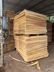 Placage de noyau d'eucalyptus découpé rotativement, durable et écologique, longueur 1270 mm, design industriel pour l'industrie du contreplaqué, humidité 10-12% - Product Image 2