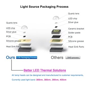 Yüksek Kaliteli Yüksek Güçlü Led Hpl Epileds Smd 392nm 395nm 1W <span class=keywords><strong>3W</strong></span> Mavi Uv Led Lambalar Czinelight 50000 Saat CRI80 1 Yıl Garantili - Product Image 5