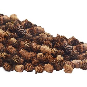 150 Pezzi Mini Coni di Pino Naturali 2CM, Decorazioni per Natale e Ringraziamento, Riempitivi per Vasi e Fai-da-Te per Decorazioni Domestiche - Product Image 1