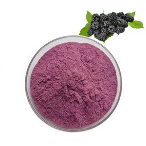 100% Natural Spray Dried Mulberry Powder Pure Herbal Food Grade Mulberry Fruit Powder Supports Natural Body Cleansing & Health - Product Image 3