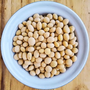 Organic <b>Soybean</b> Seed For Export <b>Soybean</b> Seed Ideal For Nutritious Food Products And Global Trade Requirements - Product Image 4