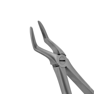 คีมถอนฟันแบบมืออาชีพ รุ่น Fig. 51A สำหรับรากฟันส่วนบน แบบอังกฤษ ชนิดเบโยเน็ต เกรดทางการแพทย์ ทำจากเหล็กกล้าไร้สนิม - Product Image 4