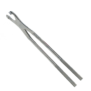 Forceps d'extraction dentaire équine de haute qualité, instruments chirurgicaux pour chevaux - Product Image 5