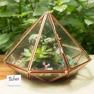 Home Perfect Geometric Glass Terrarium with Black / Gold Metal <b>Frame</b> for Air Succulent <b>Plant</b> - Product Image 6