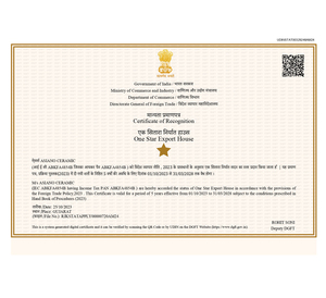 Carreaux muraux Premium Choice de qualité supérieure, carreaux d'élévation Asia Tiles 300x600mm pour revêtement de sol de chambre. - Product Image 6