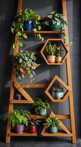 Estante de madera para plantas con forma de escalera para decoración de sala de estar y balcón, entrada, pasillo y esquina, hecho a mano en India. - Product Image 5