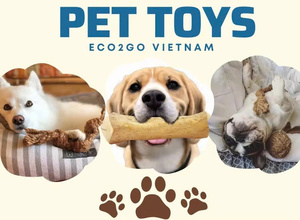 ของเล่นสุนัขทำจากไม้กาแฟธรรมชาติ Eco2go เป็นมิตรกับสิ่งแวดล้อม - ของเล่นสำหรับสุนัขที่ชอบกัดแทะ - ชุดของเล่นสุนัขจาก Eco2go เวียดนาม - Product Image 5