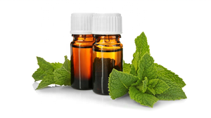 L'huile de menthe poivrée pour Spray pour les Pieds - Product Image 5