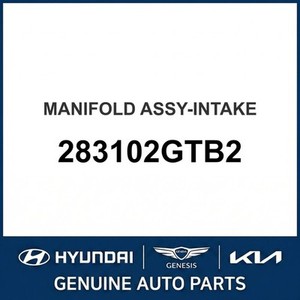 Collecteurs d'admission neufs Elantra 283102GTB2 - Product Image 1