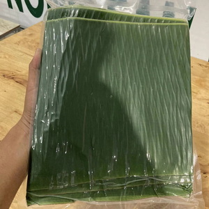 ใบตองแช่แข็งแบบทั้งใบ ตัดสะอาดจากเวียดนาม ราคาดีที่สุดสำหรับขายส่ง - Product Image 1