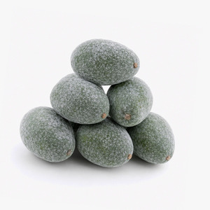 Avocat entier congelé de qualité supérieure, pelé/non pelé, fabriqué au Vietnam, prix imbattable, emballé en sac de 2 kg - Product Image 1