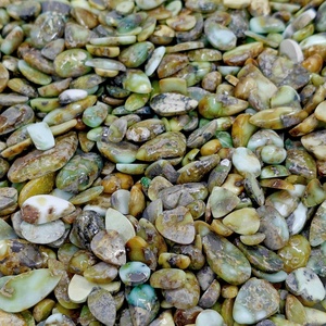 Lot de cabochons en turquoise palomino naturelle, vente en gros de pierres précieuses en turquoise palomino pour la fabrication de bijoux - Product Image 1