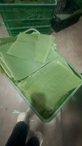 Hoja de Plátano Congelada Fresca, Hoja de Plátano Congelada al por Mayor, Hojas de Plátano de Grado Alimenticio para Cocina Tradicional, Empaque y Uso en Restaurantes - Product Image 5
