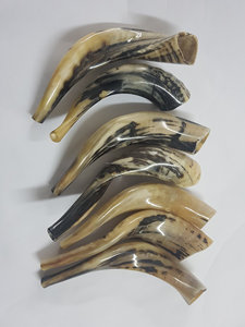 โคเชอร์แรมส์ฮอร์นโชซาร์ขัดเงาด้วยช่างฝีมือผิวงานธรรมชาติทำขึ้นมาอย่างทนทานจากสัตว์ทะเลของที่ระลึกจากยุโรป - Product Image 3