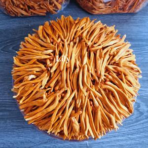 Champignon fonctionnel Cordyceps Militaris Ingrédient en vrac pour capsules et thé/lys - Product Image 6