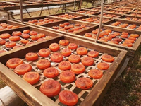 Hoogwaardige 100% biologische gedroogde persimmon uit Vietnam, zoete smaak, zongedroogd proces
