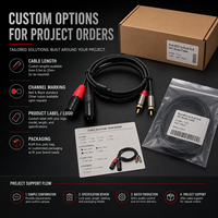 Câble Combo XLR Professionnel Ice Combo, Câble de Signal Powercon DMX512 pour Équipement d'Éclairage Scénique, Assemblage de Câbles Personnalisés OEM ODM
