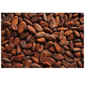 เมล็ดโกโก้ดิบอบแห้งเกรดพรีเมียม อาไรบา - Product Image 2