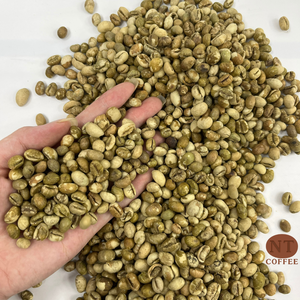 Granos de Café Verde Culi de Vietnam, Más Vendidos, Sabor Intenso, Gran Densidad, Suministro a Granel, Servicio de Empaque Personalizado - Product Image 1