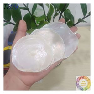 Coquillages Capiz transparents pour la décoration de mariage en bord de mer, la décoration de table côtière et la conception intérieure d'inspiration nautique, naturels et bruts - Product Image 6