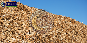 Copeaux de bois d'acacia de haute qualité NGOC CHAU pour le combustible biomasse et la matière première de la pâte à papier, approvisionnement en vrac directement de l'usine au Vietnam - Product Image 5