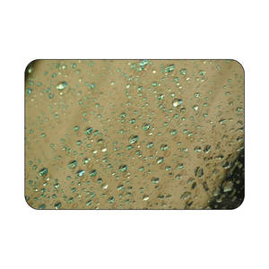 Recubrimiento Cerámico Nano 9H Avanzado para Protección de Pintura y Vidrio de Automóviles, Superficie Superhidrófoba, Fórmula de Alta Durabilidad y Brillo - Product Image 3